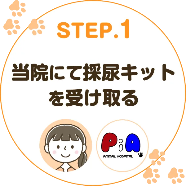 当院にて採尿キットを受け取る