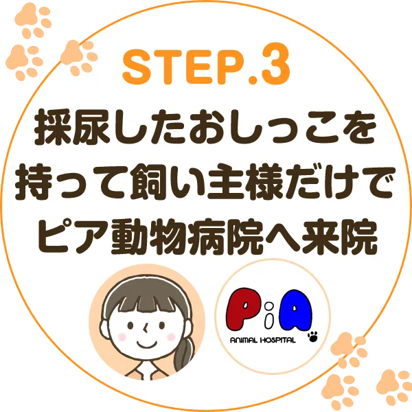 採尿したおしっこをもって飼い主様だけでピア動物病院へ来院
