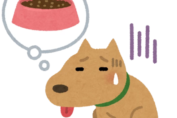 吐き気、食欲低下は気候が原因かも!?